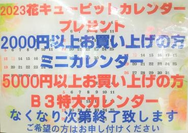2023カレンダー配布中｜「ポピー」　（京都府八幡市の花キューピット加盟店 花屋）のブログ