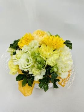  敬老の日　遅れてゴメンね！｜「彩季舎」　（群馬県高崎市の花キューピット加盟店 花屋）のブログ