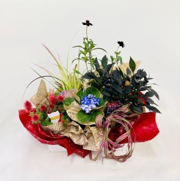 敬老の日　プランツアレンジ　寄せ鉢｜「彩季舎」　（群馬県高崎市の花キューピット加盟店 花屋）のブログ