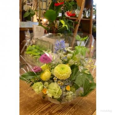爽やかカラーのアレンジメント＆観葉植物～(*‘∀‘)｜「フローリスト飾り屋」　（鹿児島県鹿児島市の花キューピット加盟店 花屋）のブログ