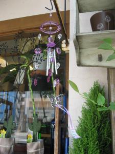 夏探し、涼から　熱っへ～｜「フローリスト飾り屋」　（鹿児島県鹿児島市の花キューピット加盟店 花屋）のブログ