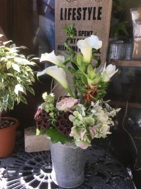 蓮のドライフラワーで・・・残暑見舞い｜「フローリスト飾り屋」　（鹿児島県鹿児島市の花キューピット加盟店 花屋）のブログ