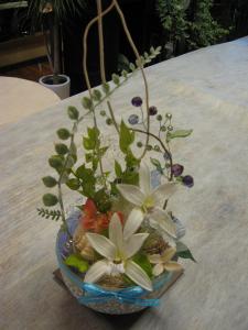 がんばれ、　自分～！｜「フローリスト飾り屋」　（鹿児島県鹿児島市の花キューピット加盟店 花屋）のブログ