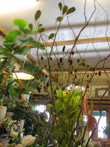 吾亦紅・われもこう・・・｜「フローリスト飾り屋」　（鹿児島県鹿児島市の花キューピット加盟店 花屋）のブログ