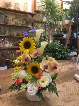 父の日に寄せて・・・｜「フローリスト飾り屋」　（鹿児島県鹿児島市の花キューピット加盟店 花屋）のブログ