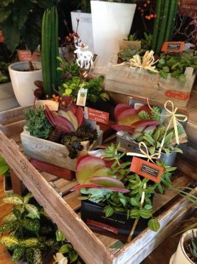 　今日も元気に　♪　手先を使って　足を使って　！｜「フローリスト飾り屋」　（鹿児島県鹿児島市の花キューピット加盟店 花屋）のブログ