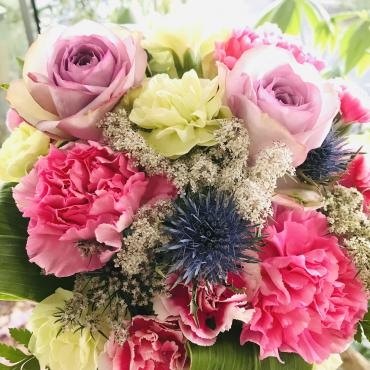 クエン酸、飲み始めました｜「ポピー」　（京都府八幡市の花キューピット加盟店 花屋）のブログ