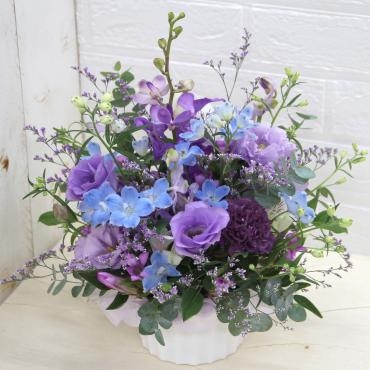 海の日フェア開催中です　花キューピット加盟店　フローラント｜「フローラント」　（静岡県三島市の花キューピット加盟店 花屋）のブログ