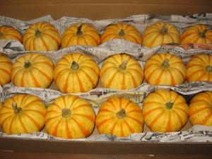 祝日のゆっくりモード・・・｜「フローリスト飾り屋」　（鹿児島県鹿児島市の花キューピット加盟店 花屋）のブログ
