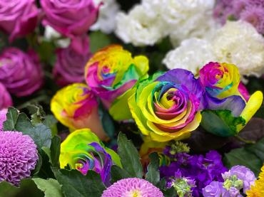 レインボーローズ｜「彩季舎」　（群馬県高崎市の花キューピット加盟店 花屋）のブログ