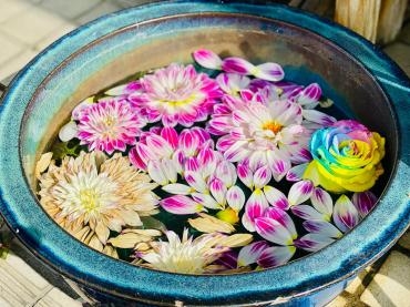 花手水！｜「彩季舎」　（群馬県高崎市の花キューピット加盟店 花屋）のブログ