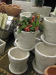 テラコッタ人気がありますね・・・｜「フローリスト飾り屋」　（鹿児島県鹿児島市の花キューピット加盟店 花屋）のブログ