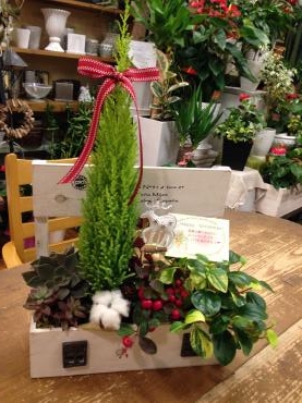 　Happy　Christmas　ギフトセレクト　(^o^)丿❤｜「フローリスト飾り屋」　（鹿児島県鹿児島市の花キューピット加盟店 花屋）のブログ