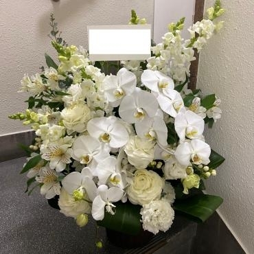 書道の個展開催のお祝いにアレンジメントをお届け致しました。ありがとうございました。｜「銀座ニューフラワー」　（東京都中央区の花キューピット加盟店 花屋）のブログ