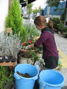 寄せ植えでお店もきれいになりま～す✿｜「フローリスト飾り屋」　（鹿児島県鹿児島市の花キューピット加盟店 花屋）のブログ