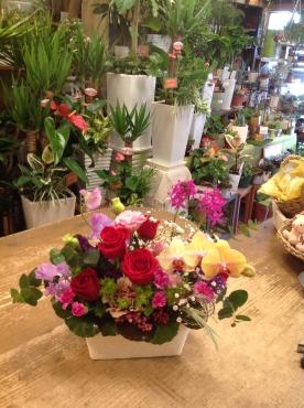 春の日差しの中で虹が・・・・　!?｜「フローリスト飾り屋」　（鹿児島県鹿児島市の花キューピット加盟店 花屋）のブログ