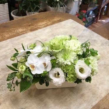 3月は盛りだくさんです～｜「フローリスト飾り屋」　（鹿児島県鹿児島市の花キューピット加盟店 花屋）のブログ