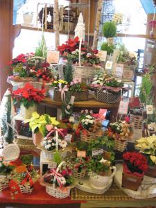 当店の冬物語～winterギフト✿｜「フローリスト飾り屋」　（鹿児島県鹿児島市の花キューピット加盟店 花屋）のブログ