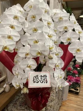 「感謝」の気持ちを込めて・・・｜「フローリスト飾り屋」　（鹿児島県鹿児島市の花キューピット加盟店 花屋）のブログ
