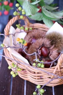 可愛いゆえに。。。｜「アライ花店」　（山形県山形市の花キューピット加盟店 花屋）のブログ