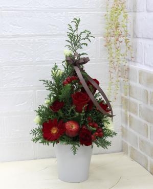 クリスマスフワラーアレンジメントをお届け　三島市花屋フローラント｜「フローラント」　（静岡県三島市の花キューピット加盟店 花屋）のブログ
