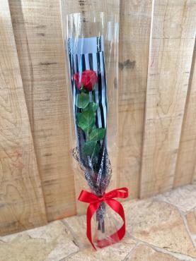 ワンステムローズ｜「彩季舎」　（群馬県高崎市の花キューピット加盟店 花屋）のブログ