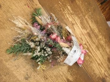 暑さ、負けず知らず・・・｜「フローリスト飾り屋」　（鹿児島県鹿児島市の花キューピット加盟店 花屋）のブログ