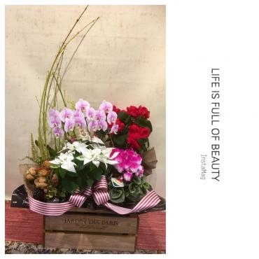 お早目にご相談下さいませ('ω')ノ｜「フローリスト飾り屋」　（鹿児島県鹿児島市の花キューピット加盟店 花屋）のブログ