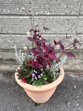 秋の寄せ植え｜「彩季舎」　（群馬県高崎市の花キューピット加盟店 花屋）のブログ
