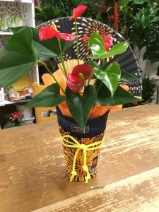 遊びごころ・・・｜「フローリスト飾り屋」　（鹿児島県鹿児島市の花キューピット加盟店 花屋）のブログ