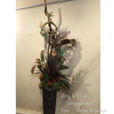 Ｃａｆｅ　開店御祝に　アレンジメントのお届けです・・。｜「フローリスト飾り屋」　（鹿児島県鹿児島市の花キューピット加盟店 花屋）のブログ