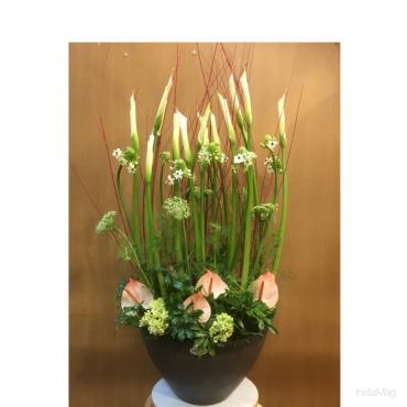 開店御祝～春のはなだより～(^o^)丿｜「フローリスト飾り屋」　（鹿児島県鹿児島市の花キューピット加盟店 花屋）のブログ