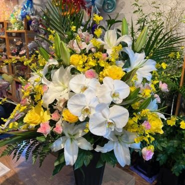 個展開催｜「銀座ニューフラワー」　（東京都中央区の花キューピット加盟店 花屋）のブログ