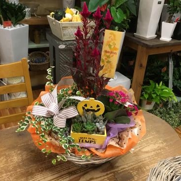 たのしいオータムセットはいかがですか？？｜「フローリスト飾り屋」　（鹿児島県鹿児島市の花キューピット加盟店 花屋）のブログ