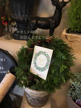 クリスマスリース＆プリザーブドフラワー｜「フローリスト飾り屋」　（鹿児島県鹿児島市の花キューピット加盟店 花屋）のブログ