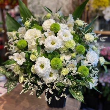 個展のお祝いにお届けいたしました。｜「銀座ニューフラワー」　（東京都中央区の花キューピット加盟店 花屋）のブログ