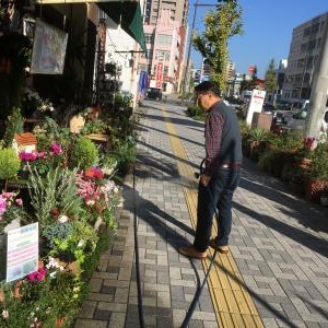 気持ちの良い朝の風景｜「フローリスト飾り屋」　（鹿児島県鹿児島市の花キューピット加盟店 花屋）のブログ