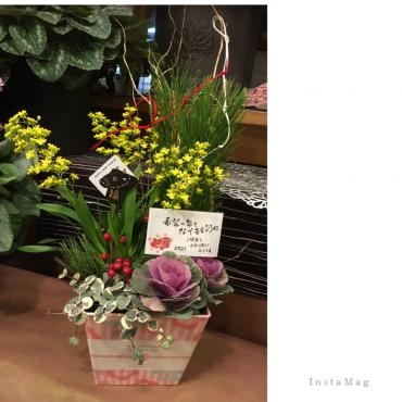 新年に向けて葉牡丹～シクラメン✿｜「フローリスト飾り屋」　（鹿児島県鹿児島市の花キューピット加盟店 花屋）のブログ