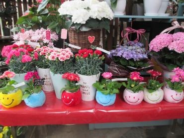 今年もニコちゃん！｜「難波ナーセリー」　（岡山県倉敷市の花キューピット加盟店 花屋）のブログ