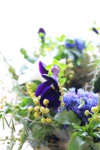 またまた雪掻き｜「アライ花店」　（山形県山形市の花キューピット加盟店 花屋）のブログ