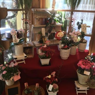 お正月モード！！｜「フローリスト飾り屋」　（鹿児島県鹿児島市の花キューピット加盟店 花屋）のブログ