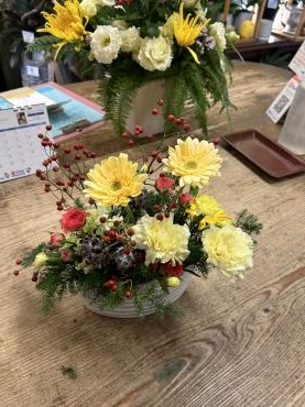 秋だより＆＃多肉植物　♪｜「フローリスト飾り屋」　（鹿児島県鹿児島市の花キューピット加盟店 花屋）のブログ