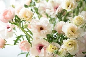 久しぶりに暖かな1日｜「アライ花店」　（山形県山形市の花キューピット加盟店 花屋）のブログ