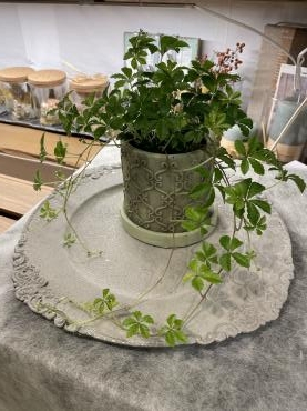 緑いっぱいの植物たちと　５月３０日より営業いたします｜「フローリスト飾り屋」　（鹿児島県鹿児島市の花キューピット加盟店 花屋）のブログ
