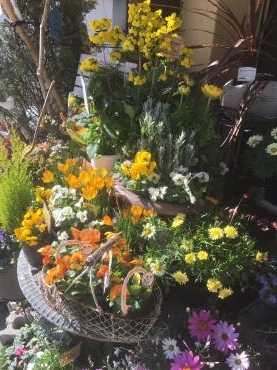 ２月１４日フラワーヴァレンタインにおすすめです｜「フローリスト飾り屋」　（鹿児島県鹿児島市の花キューピット加盟店 花屋）のブログ