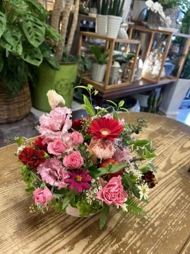 日曜　花だより・・・｜「フローリスト飾り屋」　（鹿児島県鹿児島市の花キューピット加盟店 花屋）のブログ