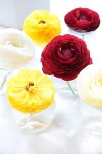 満開♬｜「アライ花店」　（山形県山形市の花キューピット加盟店 花屋）のブログ