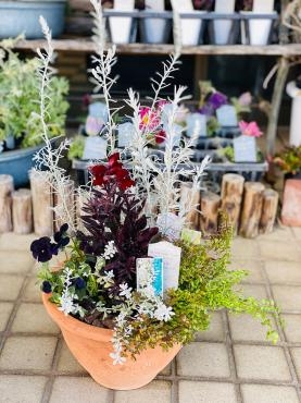 プランツアレンジ　寄せ鉢｜「彩季舎」　（群馬県高崎市の花キューピット加盟店 花屋）のブログ