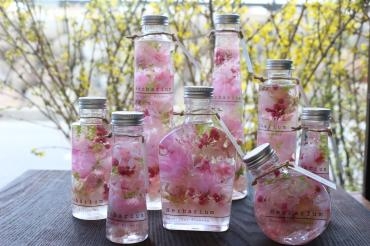 春色ハーバリウム♡桜｜「アライ花店」　（山形県山形市の花キューピット加盟店 花屋）のブログ