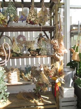 ドライフラワー｜「難波ナーセリー」　（岡山県倉敷市の花キューピット加盟店 花屋）のブログ